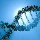 What Is Gene Reversal?