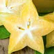 What Does a Star Fruit Taste Like?